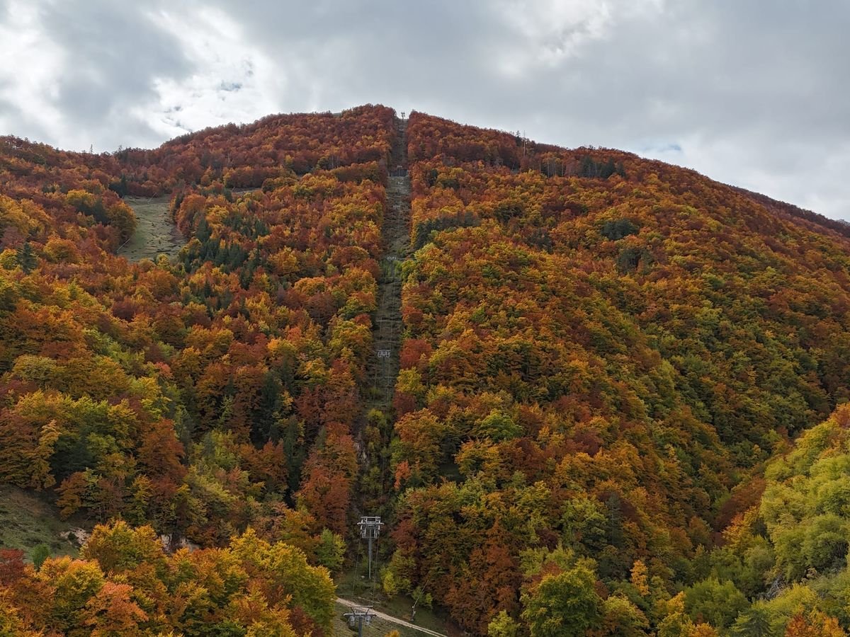 Il versante di Colle Rotondo coperto da una faggeta in autunno, con le foglie rosse, arancioni e gialle sotto un cielo di nuvole