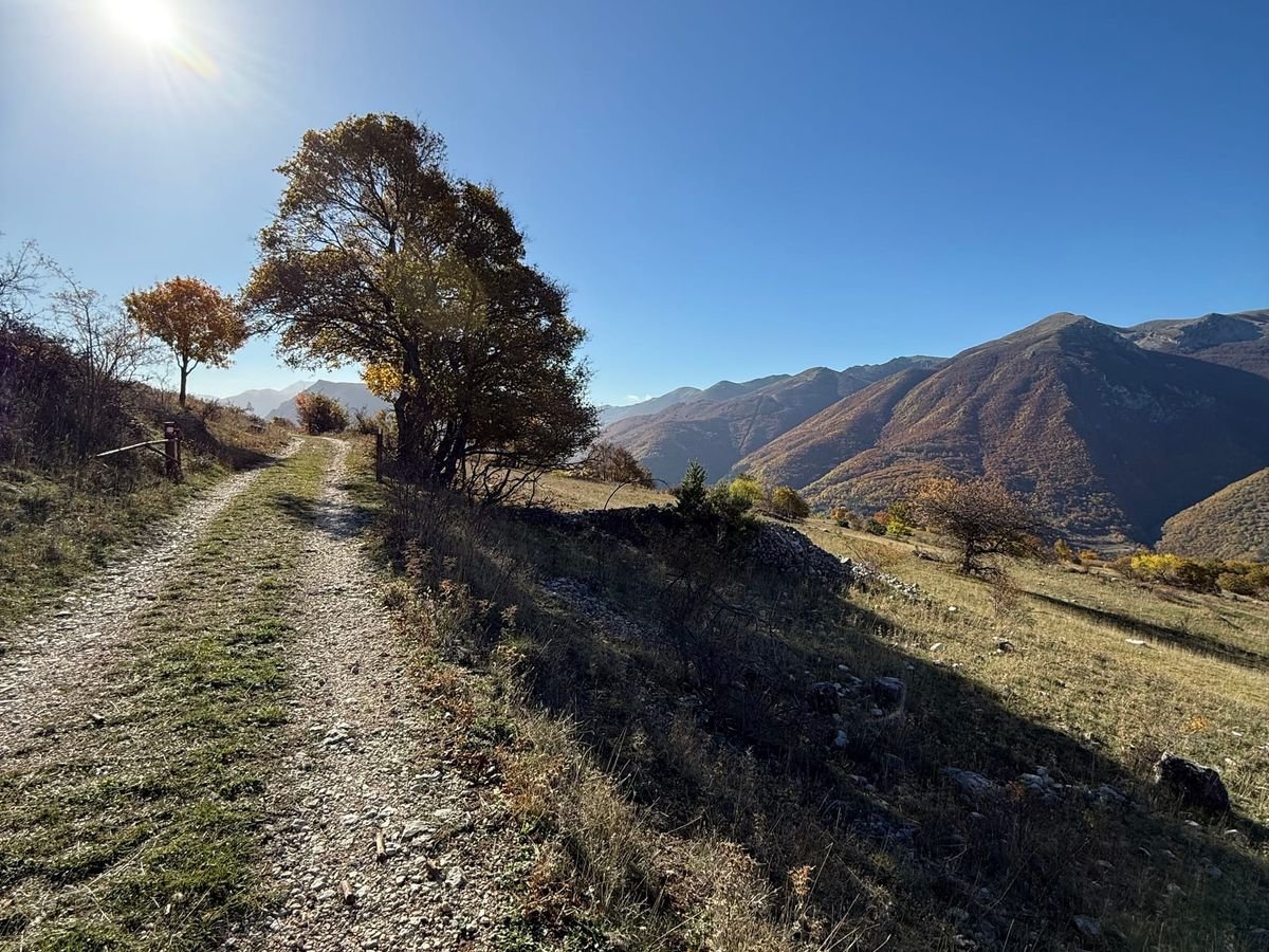 Lo sterrato di ghiaia del sentiero 31 con l'erba al centro, un albero con le foglie d'autunno e, a destra, pascoli e montagne sotto un cielo blu