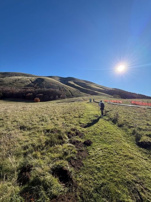 Un escursionista con i bastoncini su una traccia nell'erba, in un prato ai piedi di una montagna con il bosco d'autunno
