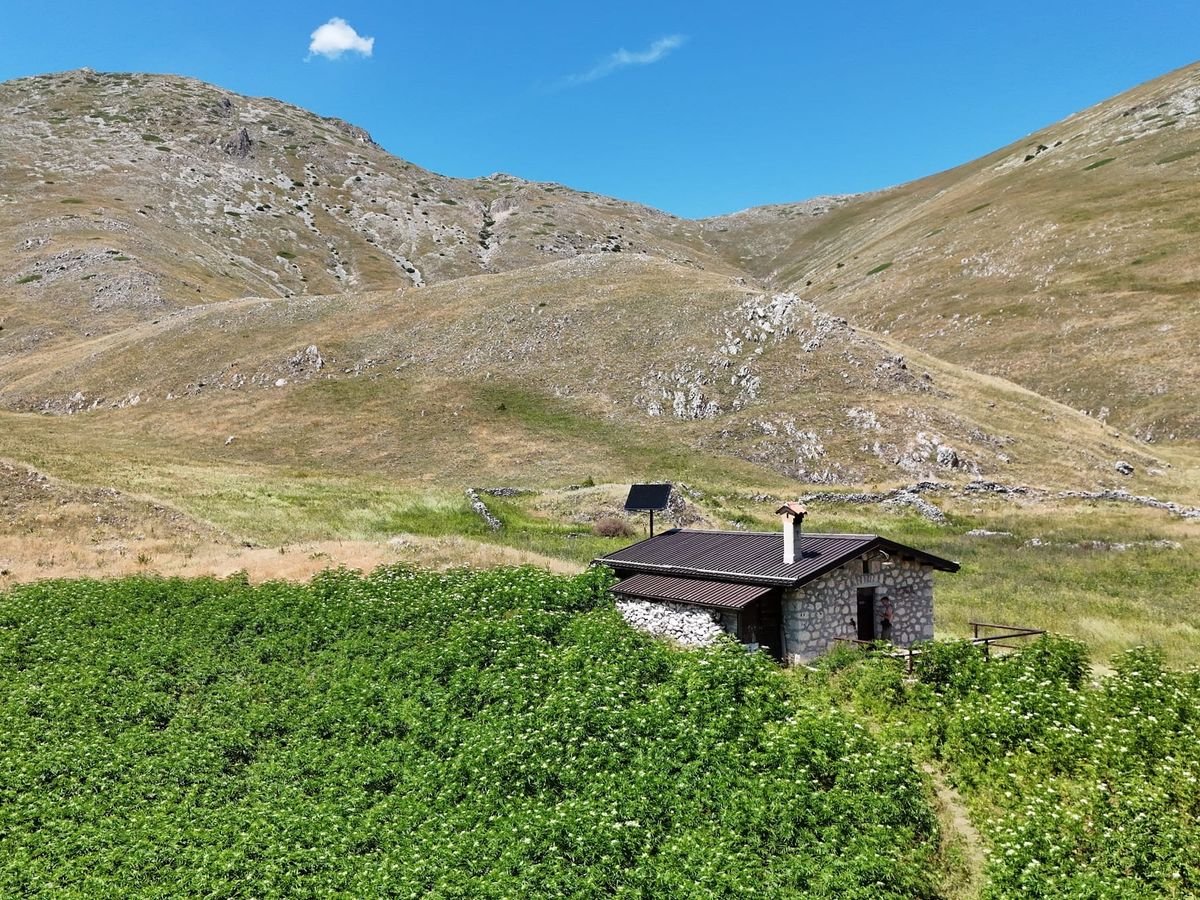 Lo Stazzo del Campo, casetta in pietra con il tetto scuro, in mezzo a una distesa di orapi verdi, sotto montagne di erba e roccia