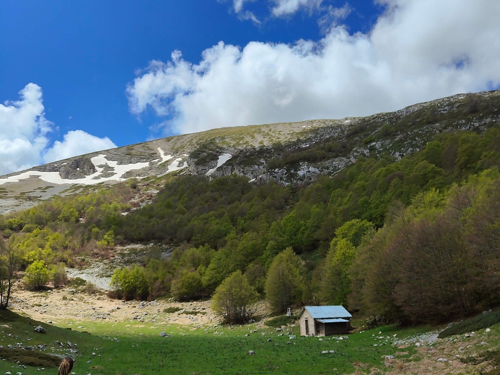 Un escursionista con lo zaino cammina su un prato verso un piccolo rifugio dal tetto azzurro, ai piedi di un bosco e di una montagna con chiazze di neve
