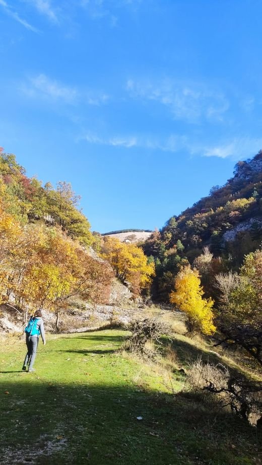 Un'escursionista cammina su un prato verde nella valle del sentiero 29, tra alberi gialli e arancioni d'autunno