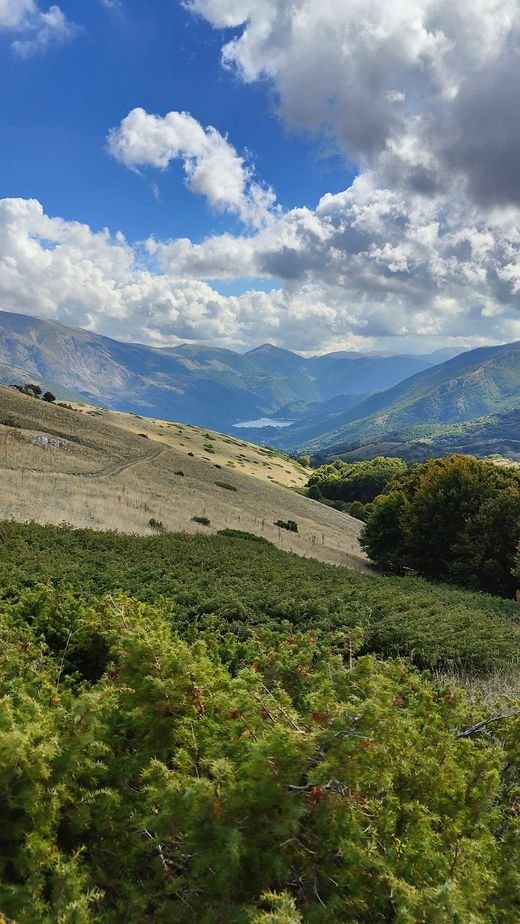 Un prato giallo con una traccia di sentiero e cespugli di ginepro, e in fondo un piccolo lago tra le montagne