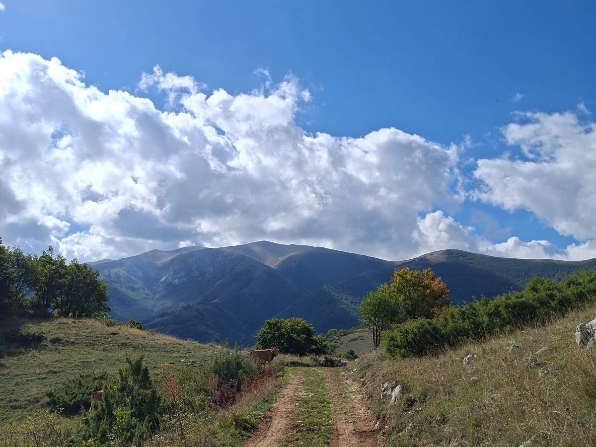 La carrareccia che sale tra prati e cespugli, con i Monti Preziosi dietro e nuvole bianche in un cielo blu
