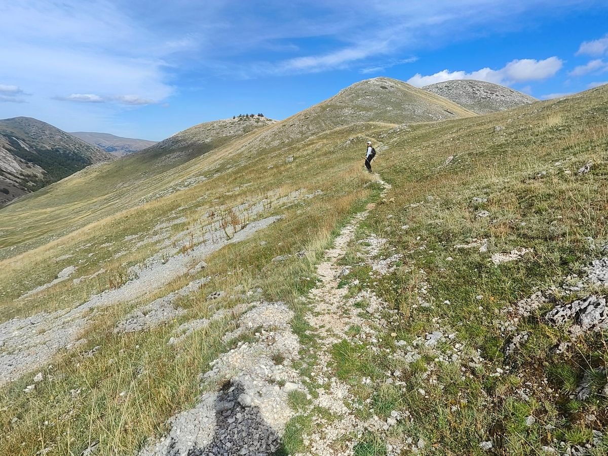 Il sentiero Y6, un solco chiaro tra l'erba su un crinale, con un'escursionista e le cime tonde in fondo