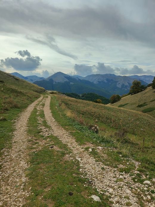 La strada sterrata dell'Y7 con i ciuffi d'erba in mezzo, e le montagne del Parco in fondo sotto un cielo grigio