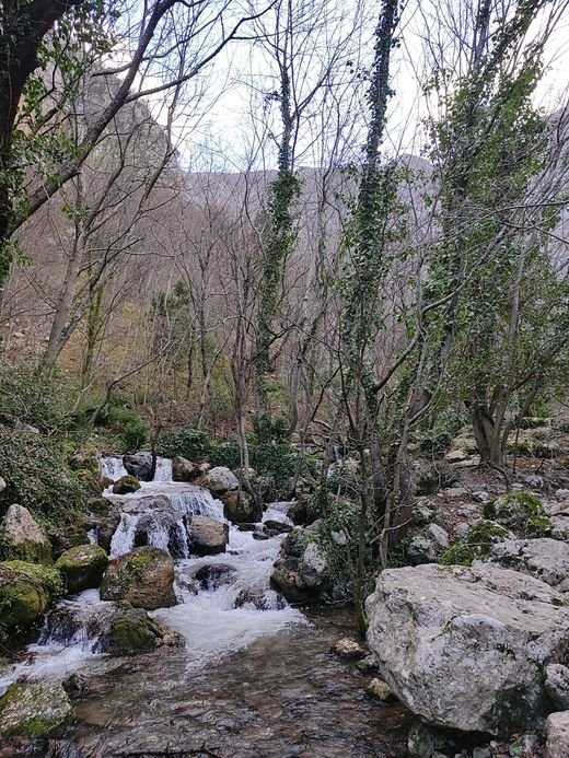 The stream at Sorgenti di Cavuto between pale boulders and bare trees
