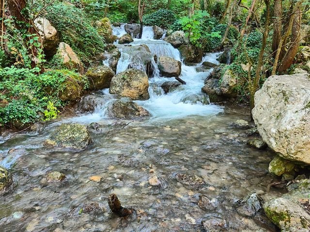 The stream at Sorgenti di Cavuto running over moss-covered boulders in the woods
