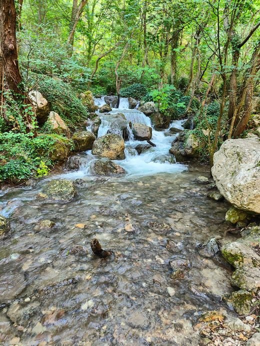 The stream at Sorgenti di Cavuto running over moss-covered boulders in the woods