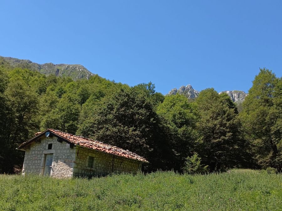 Lo Stazzo del Carapale, una casetta di pietra con il tetto di tegole rosse, in un prato davanti al bosco di faggi