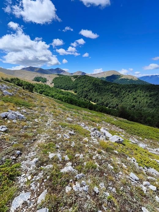 Un crinale di erba e sassi sopra una faggeta, con le cime dei monti dietro, sotto un cielo azzurro