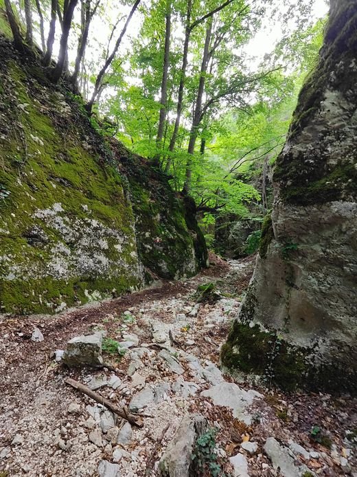 Il sentiero nel Vallone dei Romani, tra due grandi rocce coperte di muschio e un bosco di faggi verde