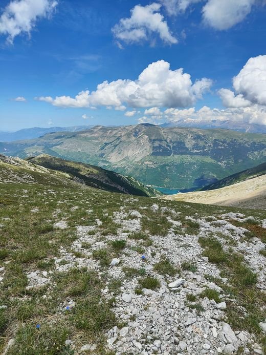 Il Lago di Scanno in fondo alla valle, tra le montagne, visto da un pendio di erba e sassi con qualche fiore blu