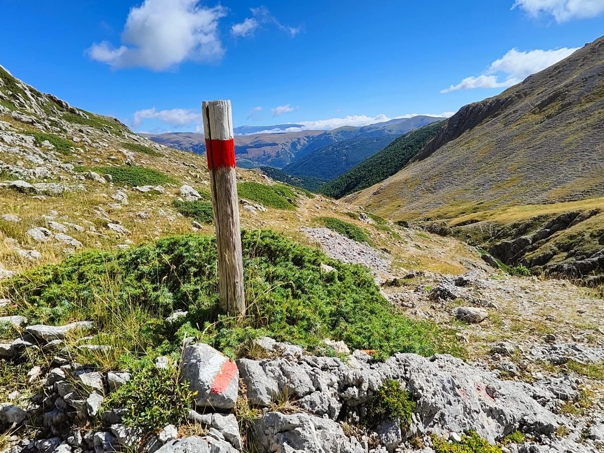Un paletto di legno con una fascia rossa sul sentiero Y9 e, davanti, una valle di bosco con le montagne in lontananza
