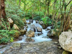 Sorgenti del Cavuto Anversa